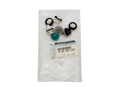 Clipes Kit Renault 768E60898R Original