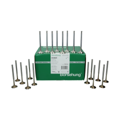 Válvula 058109601C 058109611E B18635 VW Audi Seat Skoda Borsehung