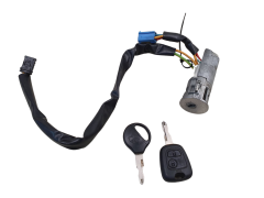 Canhão de Ignição N0501539 4162Z1 Peugeot 206 Valeo 1014