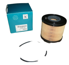 Filtro Combustível Original Citroen Peugeot 206 306 406 2.0-2.2HDI 1906A1