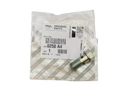 Parafuso Citroen Peugeot Fiat 0250A4 0250.A4 Original