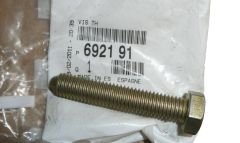 Parafuso Novo Original 6921.91 692191 Citroen Peugeot