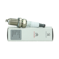 Vela de ignição Novo Original 5960.J3 5960J3 Citroen Peugeot