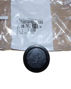 Tampa Terminal Novo Original 9676231880 Citroen Peugeot