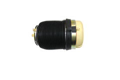 Mola pneumática Traseira Direita/Esquerda 4F0616001J 66160001601 Audi A6 Vika