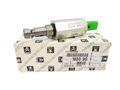 Válvula Distribuição Original Citroen Peugeot C5 C8 2.2 19209G