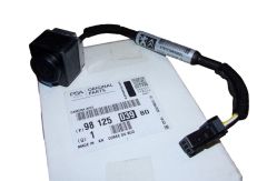 Câmara Novo Original 9812503980 Peugeot