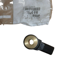 Sensor de Detonação Original Citroen Peugeot C2 C3 206 1920FR