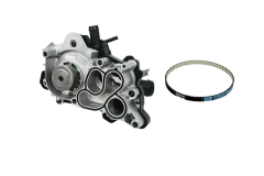 Bomba de Água Fazer VW Audi Seat Skoda 04E121600P 04E121605E B11208 Borsehung