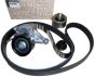 Tensor da Correia Original Renault Laguna III 2.0 dCi 8201654999