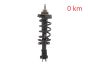 Amortecedor Frente 543023828R 540100864R 93463333 Renault Trafic 3 2.0 DCI