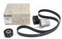 Tensor da Correia Original 117201947R Renault Dacia