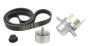 Tensor da Correia Original Ren Master Laguna Espace 2.0-2.3 dCi 8200941086