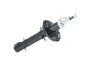 Amortecedor Frente Fazer VW Seat 6N0413031M B18687 Borsehung