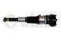 Amortecedor Traseira 4H0616001M 4H0616002M 56160000601 Audi A8 Vika