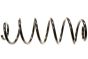 Mola Helicoidal Traseira Novo Original Renault Laguna 3 550200004R