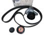 Tensor da Correia Novo Original Renault Trafic 3 Scenic 4 1.6 dCi 1172000Q9F