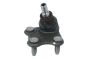 Rótula Direito 6R0407366 B11339 VW Audi Seat Skoda Borsehung