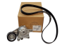 Tensor da Correia Citroen Peugeot 1611503880 Original
