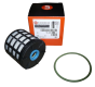 Filtro Combustível Original Citroen Peugeot C3 C2 3008 1.6 HDI 1643624980