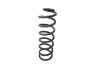 Mola Helicoidal Traseira Dacia Sandero Stepway 550209436R