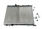 Radiador Original Citroen C4 133351