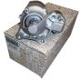 Motor de Arranque Original 233004003R Renault