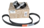 Tensor da Correia 117209336R Renault