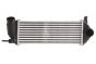 Intercooler Original Renault Kangoo II 8200382109