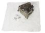 Suporte do motor Novo Original Citroen Peugeot 2.0 HDI 8v 1807T6 9628311880