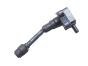 Bobina de Ignição Ford CM5G-12A366-CA 1.0