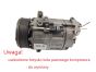 Compressor do Ar Condicionado 8200454172 2.0 dCi Renault Valeo DCS-171C