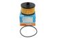 Filtro Óleo PURFLUX L441 152095084R