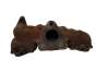 Coletor escape 306678 Citroen Peugeot 12334