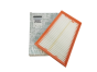 Filtro Ar Original Renault 165463884R